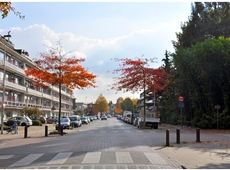 Schotensesteenweg