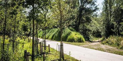 park Groot schijn