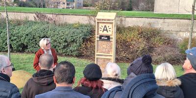 Jeff Braam Insectenhotel