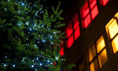 kerstboom deurne